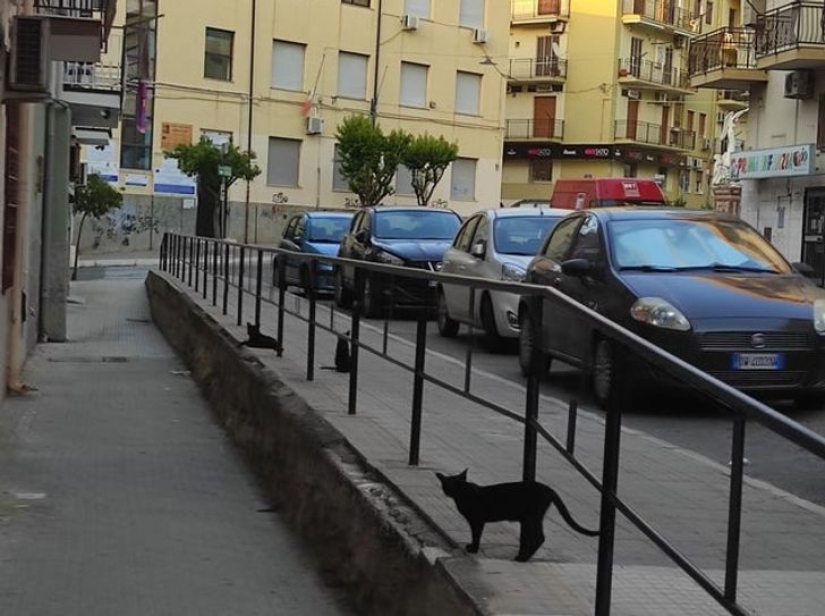 ¿Los accidentes no son aleatorios? 22 ejemplos de lindas coincidencias que te divertirán