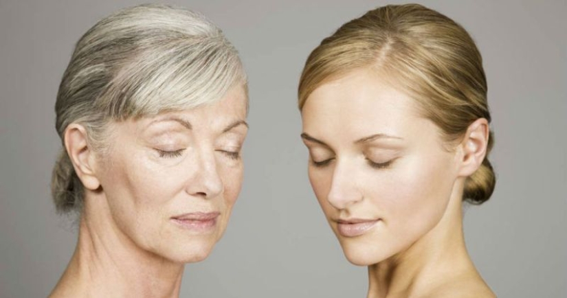 Los biólogos han aprendido a rejuvenecer las células durante 30 años Los biólogos han aprendido a rejuvenecer las células durante 30 años