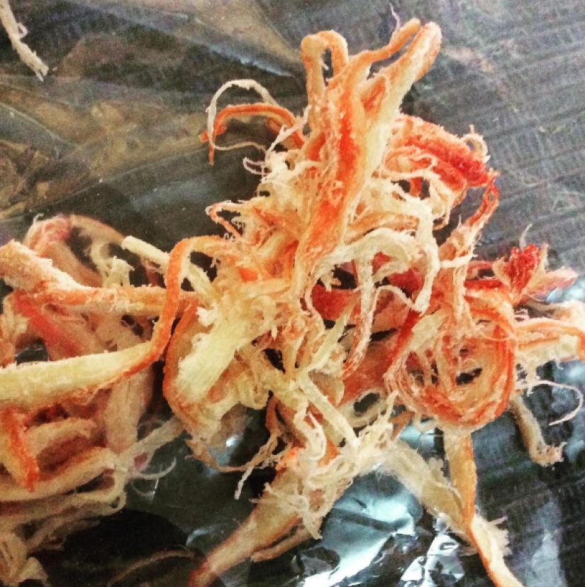 Los británicos han compilado una lista de golosinas de Rusia que el mundo carece Los británicos han compilado una lista de golosinas de Rusia que el mundo carece