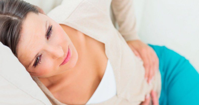 Los científicos afirman que las bacterias de nuestro intestino y nos ayuden a pensar Los científicos afirman que las bacterias de nuestro intestino y nos ayuden a pensar