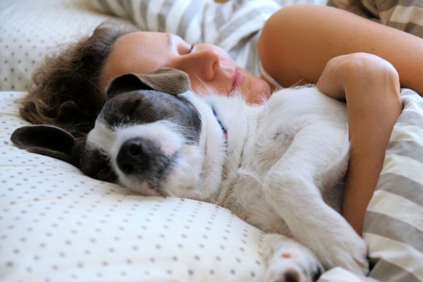 Los científicos explican por qué hay que lavarse las manos después de cualquier contacto con animales Los científicos explican por qué hay que lavarse las manos después de cualquier contacto con animales