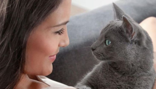 Los científicos han hablado de una forma secreta de establecer contacto con un gato Los científicos han hablado de una forma secreta de establecer contacto con un gato