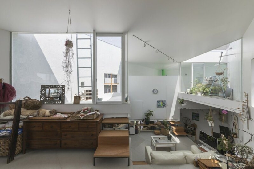 Los Japoneses han creado la más inusual en el mundo del diseño, renunciar totalmente a las paredes Los Japoneses han creado la más inusual en el mundo del diseño, renunciar totalmente a las paredes