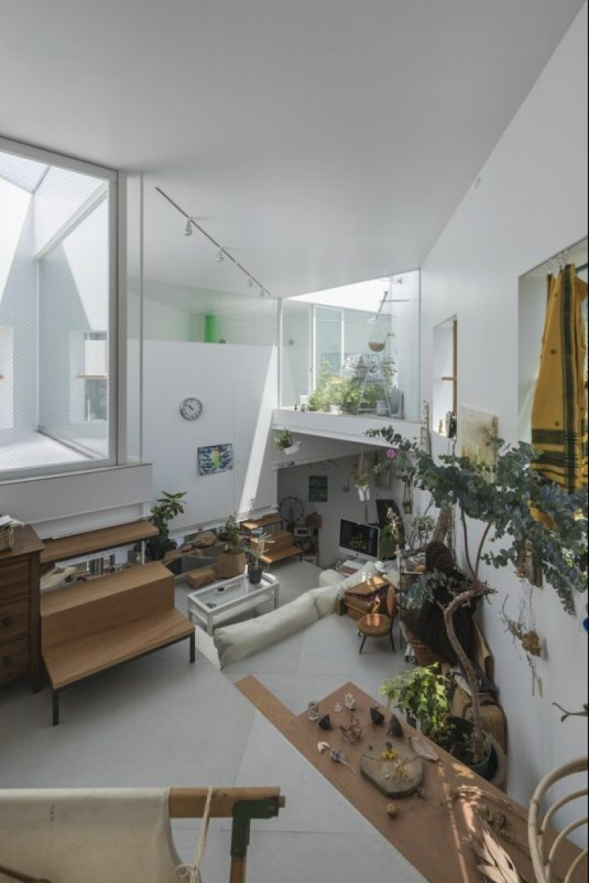 Los Japoneses han creado la más inusual en el mundo del diseño, renunciar totalmente a las paredes Los Japoneses han creado la más inusual en el mundo del diseño, renunciar totalmente a las paredes