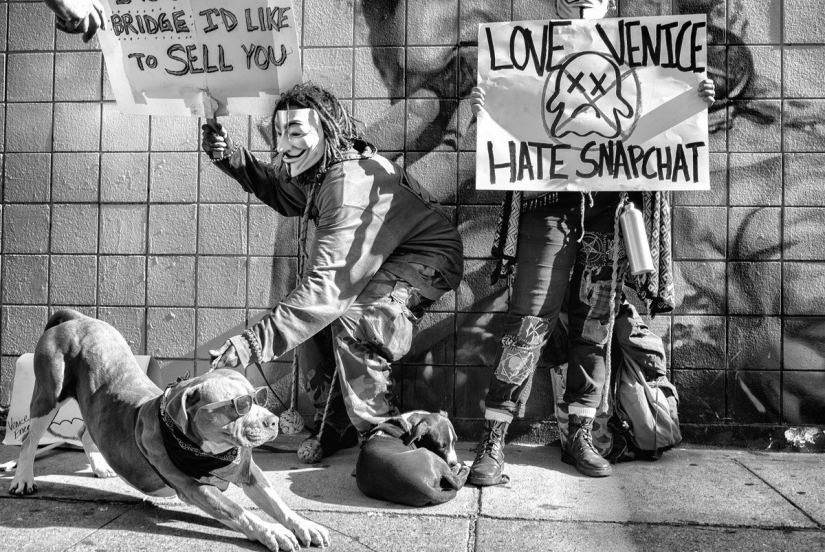Los últimos días del paraíso bohemio: la loca playa de Venecia en la lente de un fotógrafo israelí Los últimos días del paraíso bohemio: la loca playa de Venecia en la lente de un fotógrafo israelí