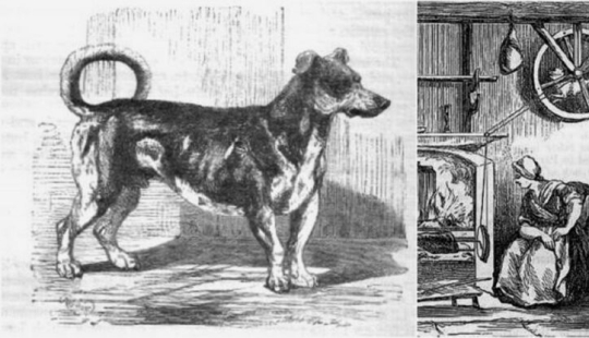 Los perros asadores son una misteriosa raza de cocina que ya no existe. Los perros asadores son una misteriosa raza de cocina que ya no existe.