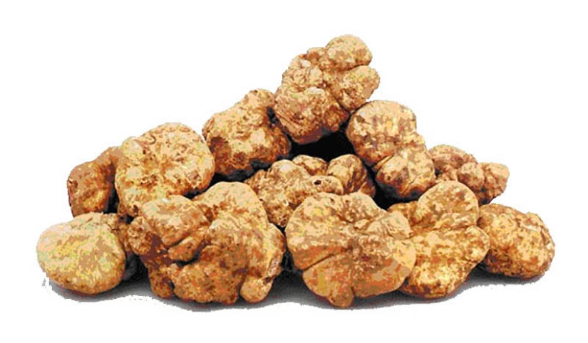 Los platos más caros del mundo Los platos más caros del mundo