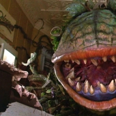 Los árboles devoradores de hombres de Madagascar: ¿Realidad o mito?