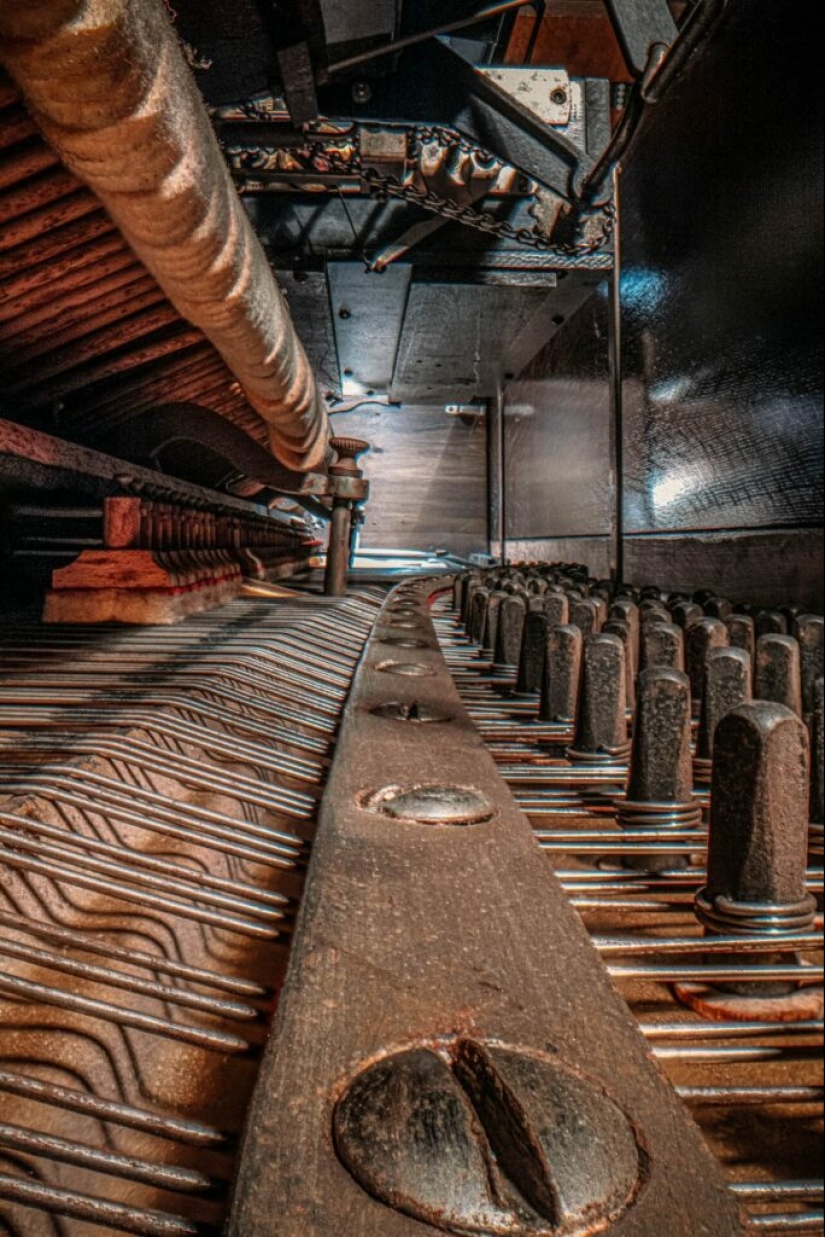 Los secretos de los instrumentos musicales a través del lente de un fotógrafo brillante