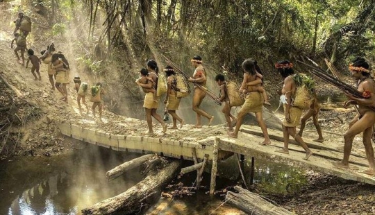 Lost in the jungle: How the people of ava live — the most secretive people on the planet Lost in the jungle: How the people of ava live — the most secretive people on the planet