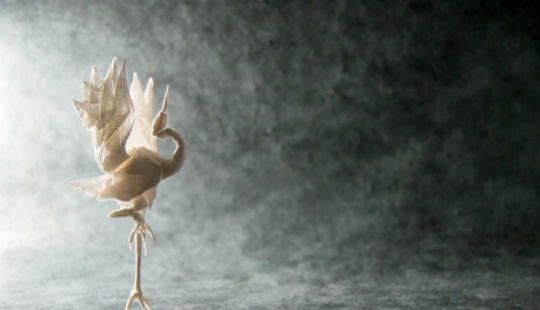 Maestro de Origami de Nivel 80 Maestro de Origami de Nivel 80