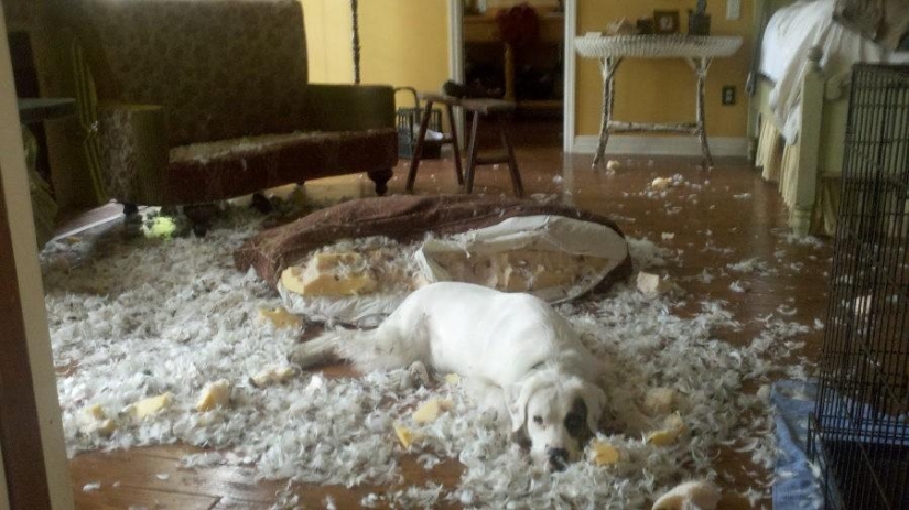 Maestro, sí, no tengo nada que ver con eso en absoluto.