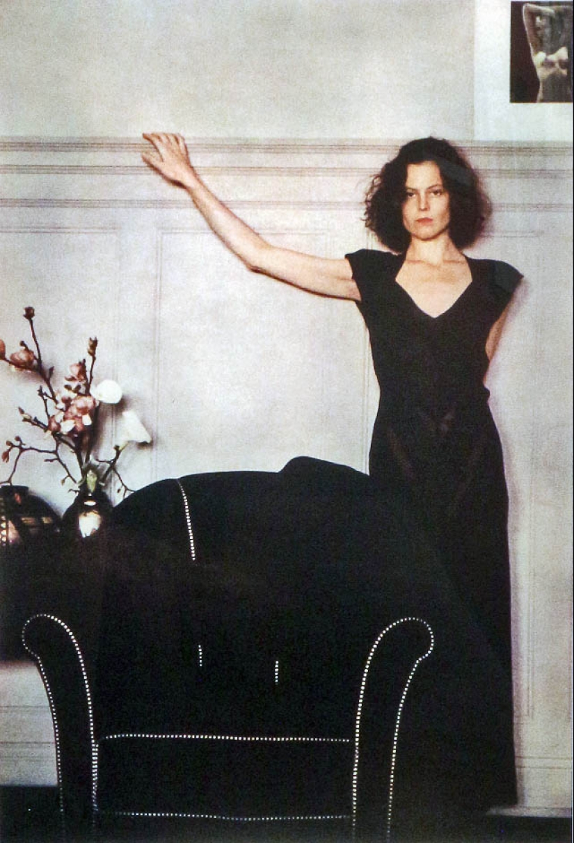 "Magic Metzner": best shots of the photographer, who shot the Basinger, Lynch and Woodstock "Magic Metzner": best shots of the photographer, who shot the Basinger, Lynch and Woodstock