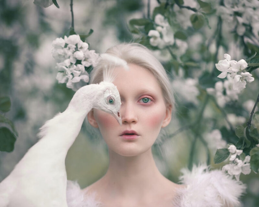 Magical photo shoot with animals Anastasiya Dobrovolskaya Magical photo shoot with animals Anastasiya Dobrovolskaya