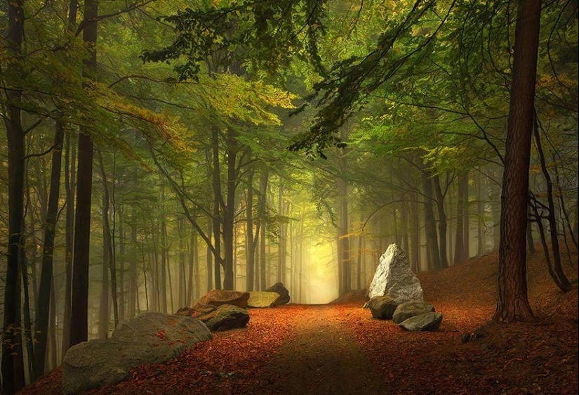 Magical trail leading straight into a fairy tale