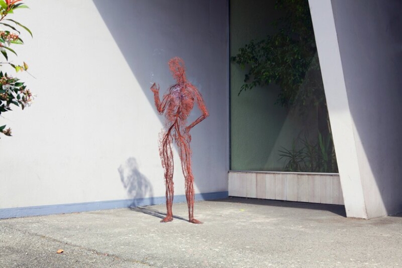 "Man, no matter what": a project about the life of our circulatory system "Man, no matter what": a project about the life of our circulatory system