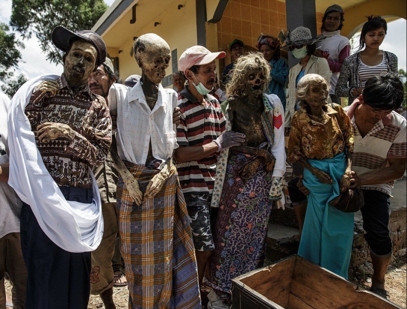 Manene Festival, during which the Toraja people dig up the bodies of their deceased relatives