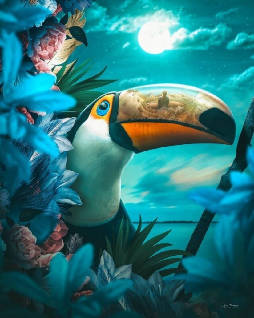 Manipulaciones fotográficas de Eric Johansson Manipulaciones fotográficas de Eric Johansson