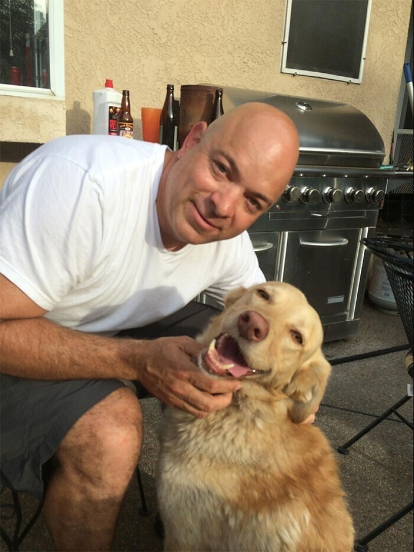 Mantener la fe: 20+ de tocar de los casos, cuando regresó perro perdido Mantener la fe: 20+ de tocar de los casos, cuando regresó perro perdido