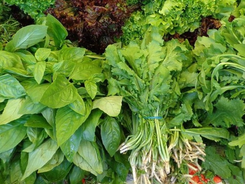 Manzanas rejuvenecedoras: los expertos han nombrado productos que reducen la edad biológica Manzanas rejuvenecedoras: los expertos han nombrado productos que reducen la edad biológica