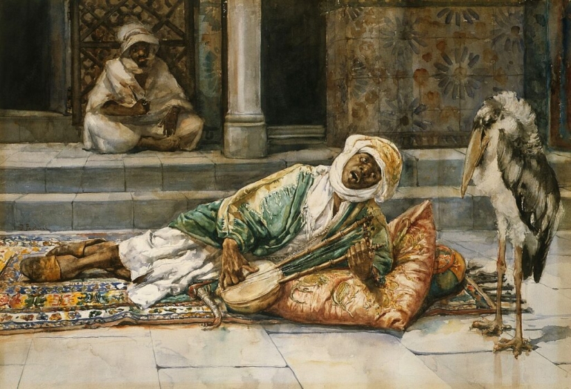 Marabou — how the monstrous stork replaces pigeons and rats Marabou — how the monstrous stork replaces pigeons and rats