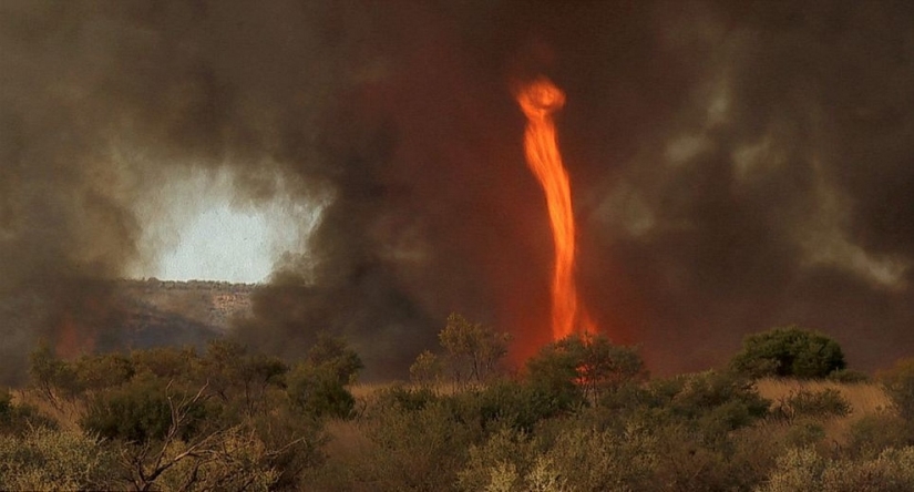 Maravillas aterradoras de la naturaleza: cómo se ve un tornado de fuego