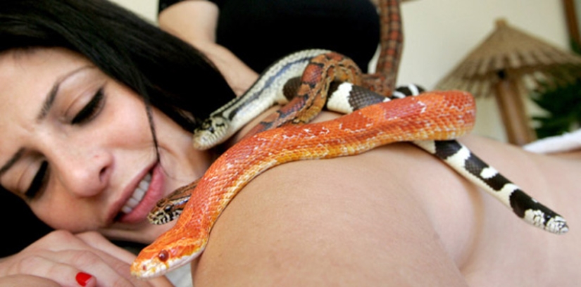 Massage with snakes Massage with snakes