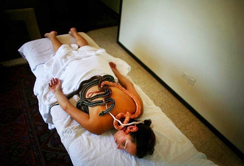 Massage with snakes Massage with snakes