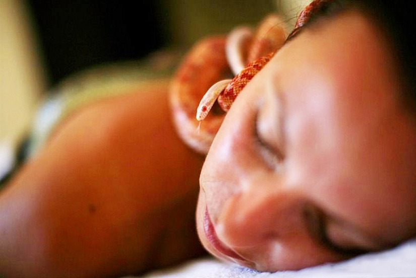 Massage with snakes Massage with snakes