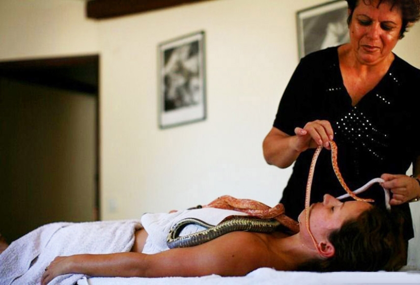 Massage with snakes Massage with snakes