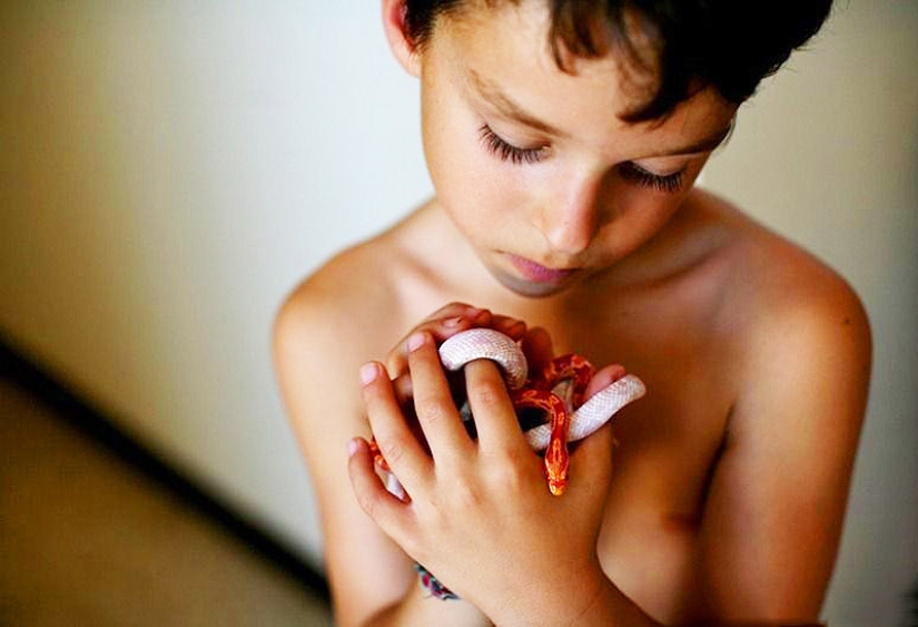 Massage with snakes Massage with snakes