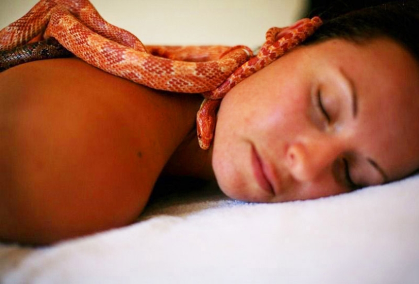 Massage with snakes Massage with snakes