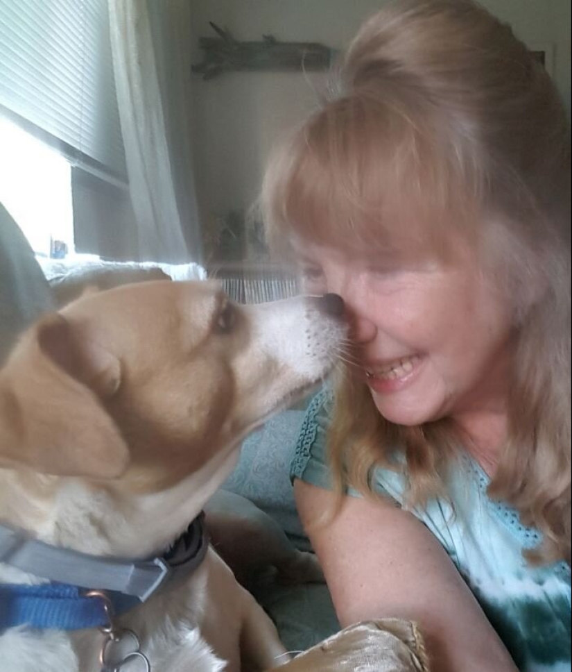 "Master, stop working!": 30 furry assistants in quarantine "Master, stop working!": 30 furry assistants in quarantine