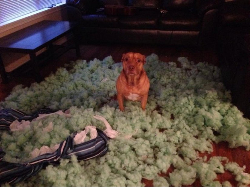 Master, yes, I have nothing to do with it at all