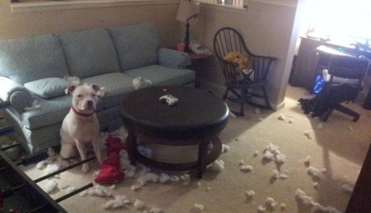 Master, yes, I have nothing to do with it at all