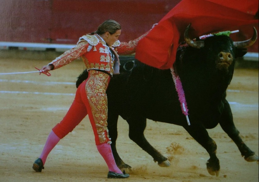 Matador Cristina Sanchez: how the bullfighting master&#39;s star rose and set