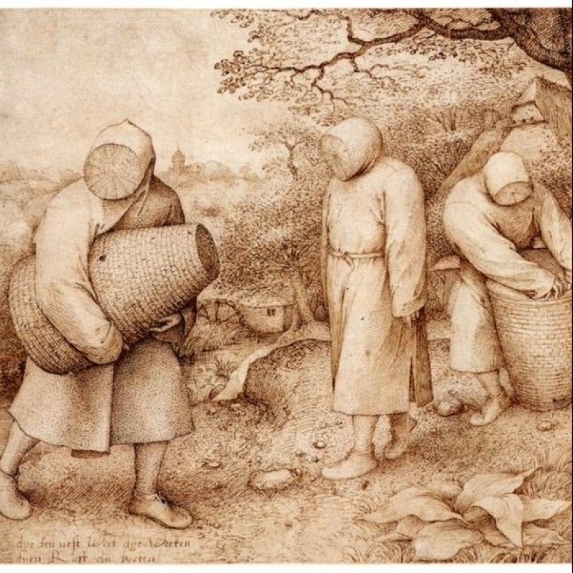 Medieval apicultor fue kapowee médico de la peste Medieval apicultor fue kapowee médico de la peste