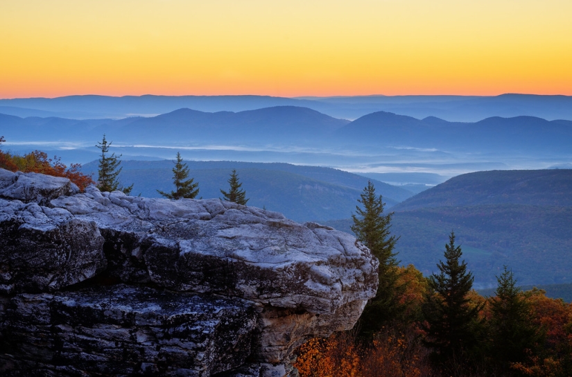 Meet the Whittakers: how the most famous incest family in the USA lives Meet the Whittakers: how the most famous incest family in the USA lives