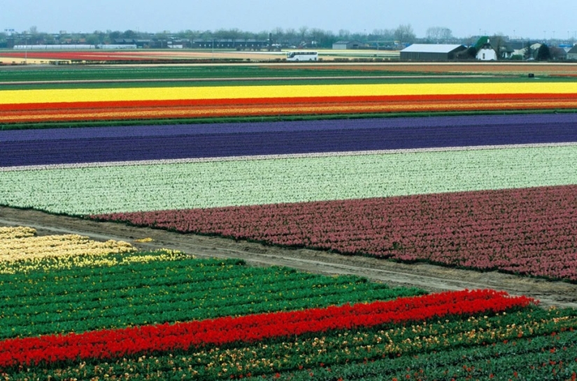 Mejor artista — naturaleza: fabuloso hermosos lugares en diferentes partes del mundo