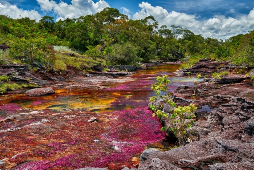 Mejor artista — naturaleza: fabuloso hermosos lugares en diferentes partes del mundo