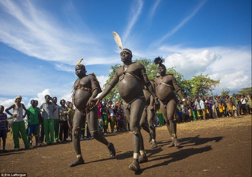 Men of an Ethiopian tribe drink blood with milk to get the title of the fattest resident of the village Men of an Ethiopian tribe drink blood with milk to get the title of the fattest resident of the village