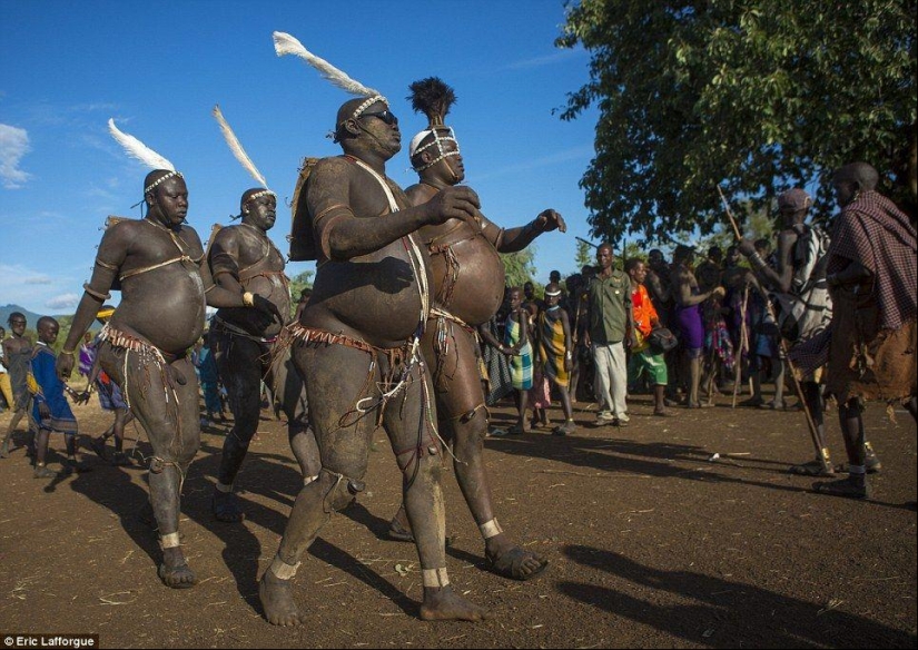 Men of an Ethiopian tribe drink blood with milk to get the title of the fattest resident of the village Men of an Ethiopian tribe drink blood with milk to get the title of the fattest resident of the village