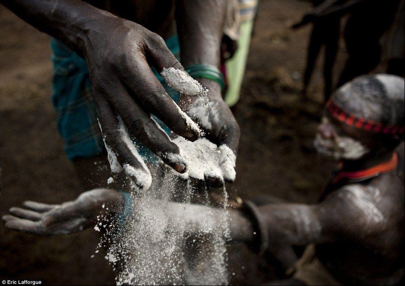 Men of an Ethiopian tribe drink blood with milk to get the title of the fattest resident of the village Men of an Ethiopian tribe drink blood with milk to get the title of the fattest resident of the village