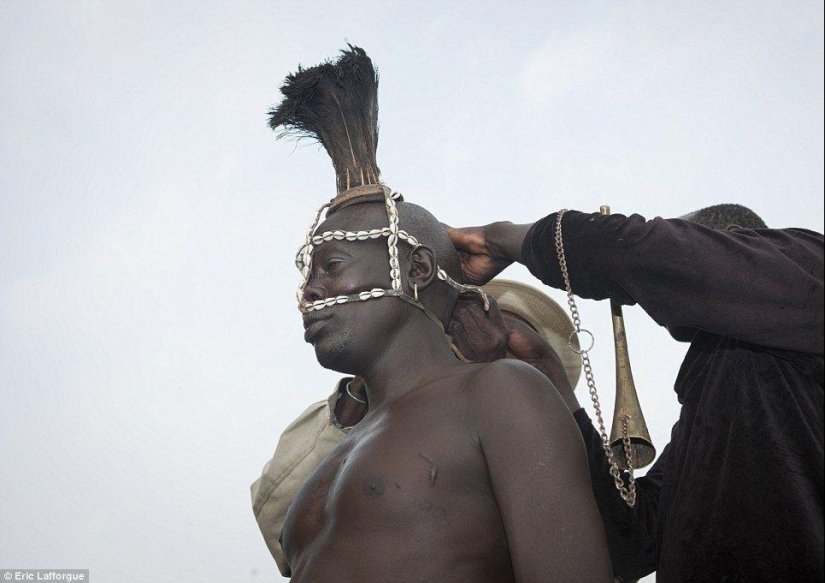 Men of an Ethiopian tribe drink blood with milk to get the title of the fattest resident of the village Men of an Ethiopian tribe drink blood with milk to get the title of the fattest resident of the village