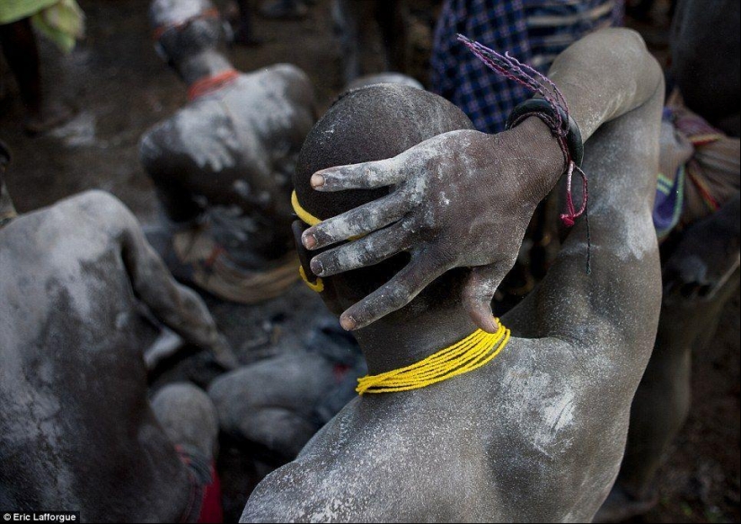 Men of an Ethiopian tribe drink blood with milk to get the title of the fattest resident of the village Men of an Ethiopian tribe drink blood with milk to get the title of the fattest resident of the village