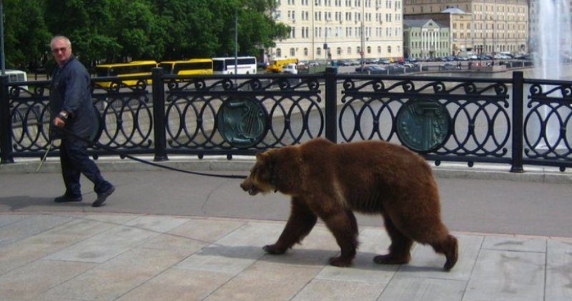 "Mientras tanto en...": 20 fotos con rasgos de diferentes países "Mientras tanto en...": 20 fotos con rasgos de diferentes países