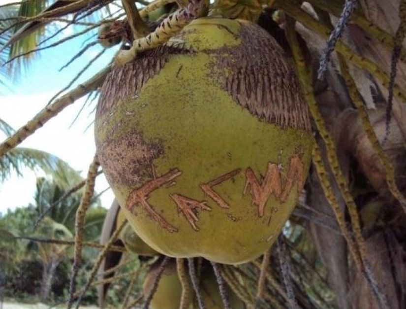 "Mientras tanto en...": 20 fotos con rasgos de diferentes países "Mientras tanto en...": 20 fotos con rasgos de diferentes países