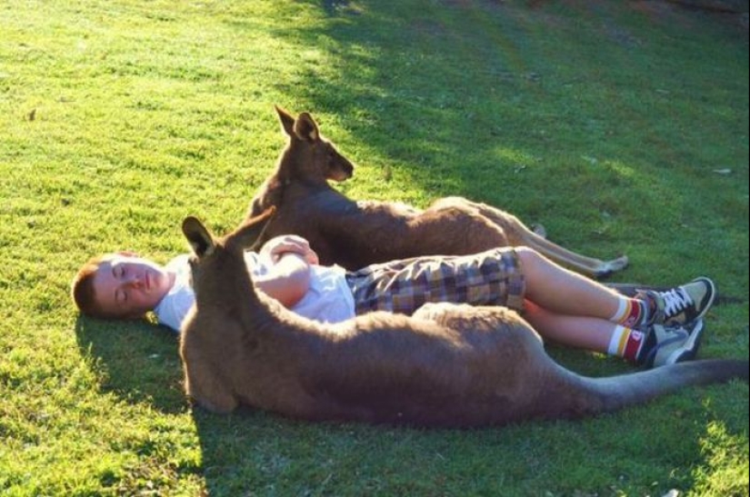 "Mientras tanto en...": 20 fotos con rasgos de diferentes países "Mientras tanto en...": 20 fotos con rasgos de diferentes países