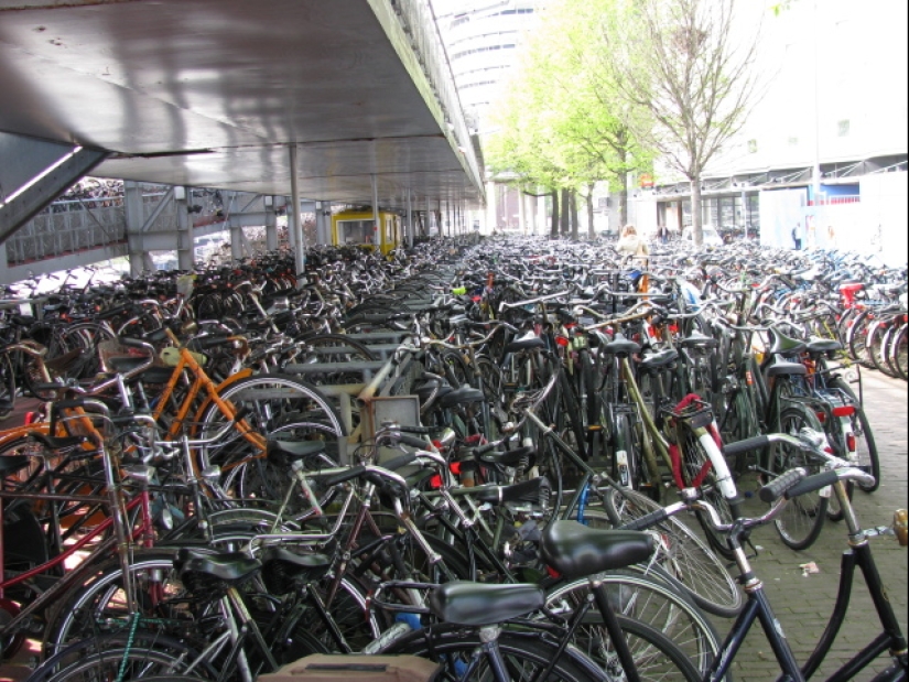 "Mientras tanto en...": 20 fotos con rasgos de diferentes países "Mientras tanto en...": 20 fotos con rasgos de diferentes países