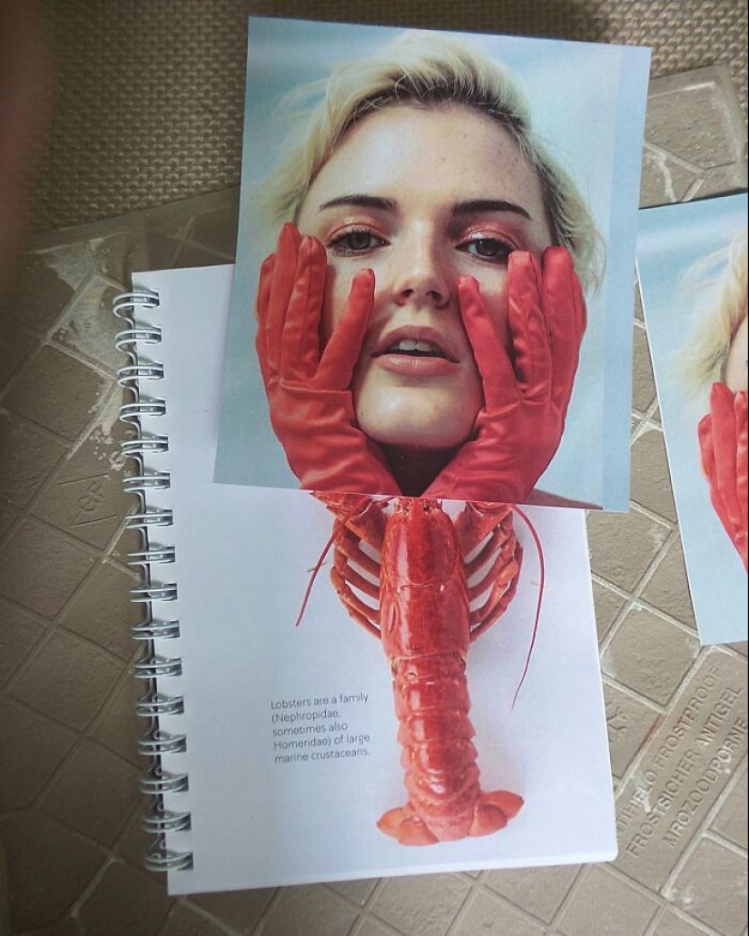 Mind-Bending Creativity: 16 Surreal Fusions By Dudi Ben Simon Mind-Bending Creativity: 16 Surreal Fusions By Dudi Ben Simon